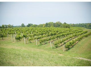 Property photo 21 - REAL ESTATE & RESTAURANT/WINE EQUIPMENT